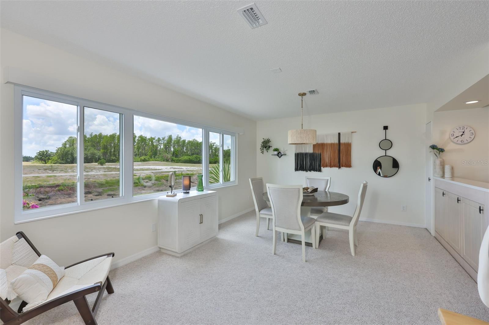 214 GLENELLEN PL #201, SUN CITY CENTER, FL, 33573