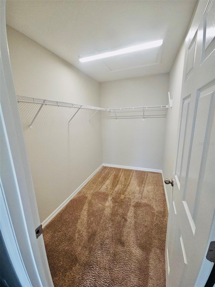 34436 MOONFLOWER AVE, WESLEY CHAPEL, FL, 33545