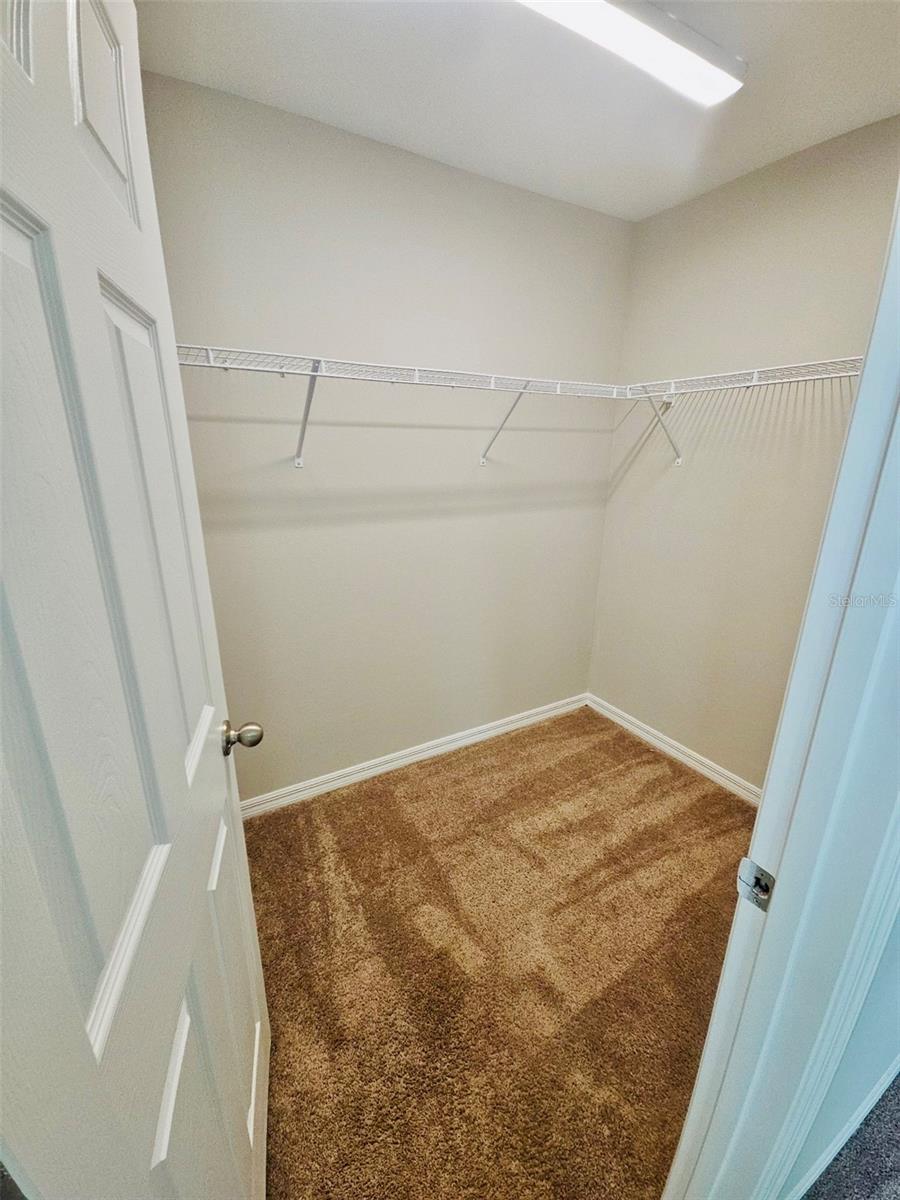 34436 MOONFLOWER AVE, WESLEY CHAPEL, FL, 33545