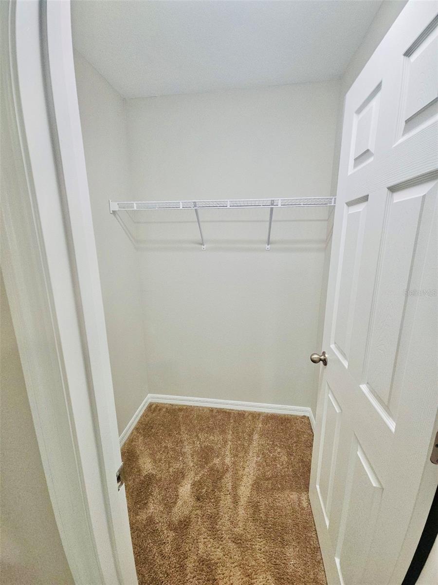 34436 MOONFLOWER AVE, WESLEY CHAPEL, FL, 33545