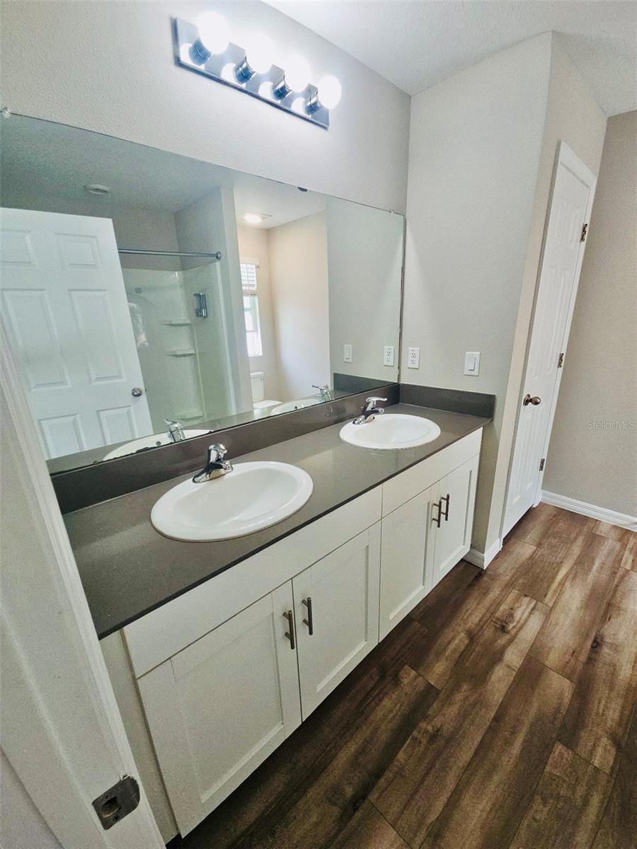 34436 MOONFLOWER AVE, WESLEY CHAPEL, FL, 33545