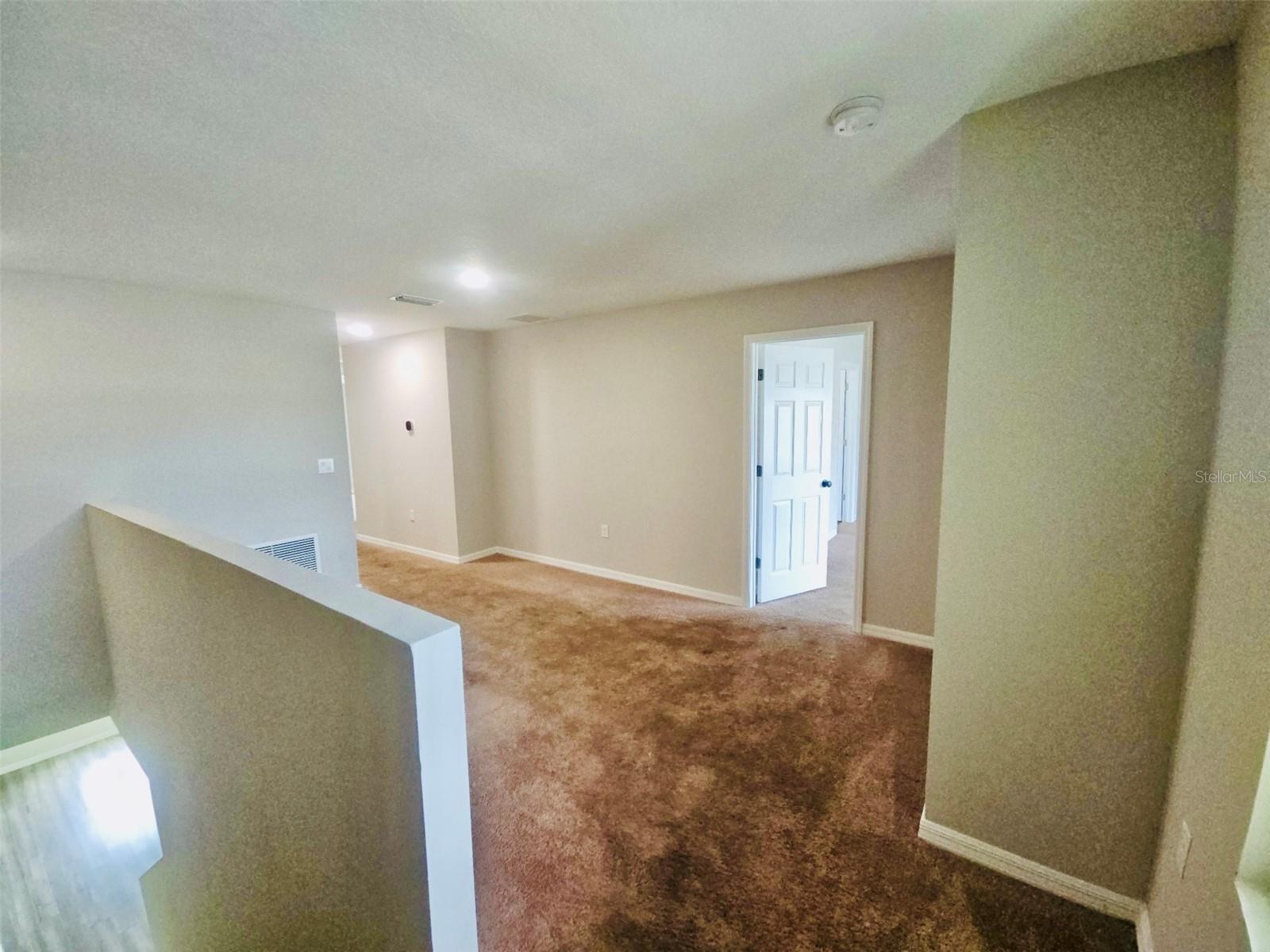 34436 MOONFLOWER AVE, WESLEY CHAPEL, FL, 33545