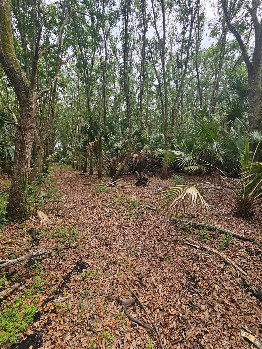 601 HOWARD AVE, OVIEDO, FL, 32765