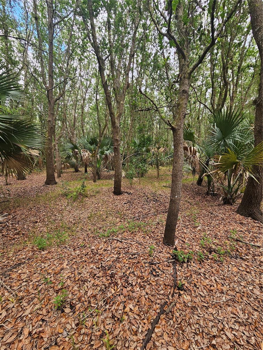 601 HOWARD AVE, OVIEDO, FL, 32765