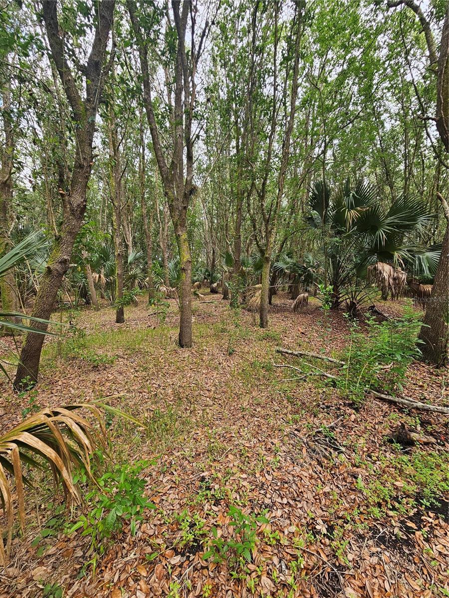 601 HOWARD AVE, OVIEDO, FL, 32765