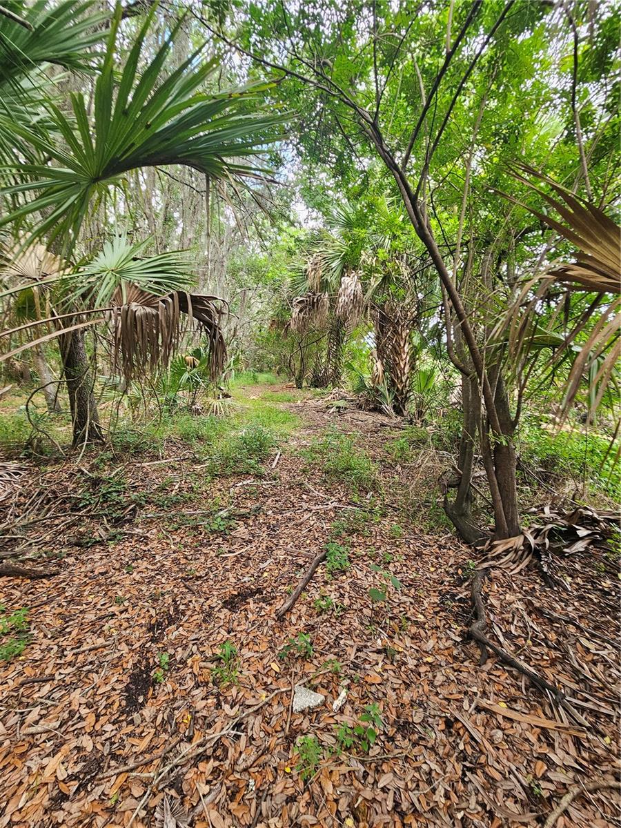 601 HOWARD AVE, OVIEDO, FL, 32765