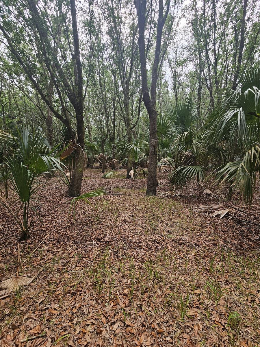 601 HOWARD AVE, OVIEDO, FL, 32765