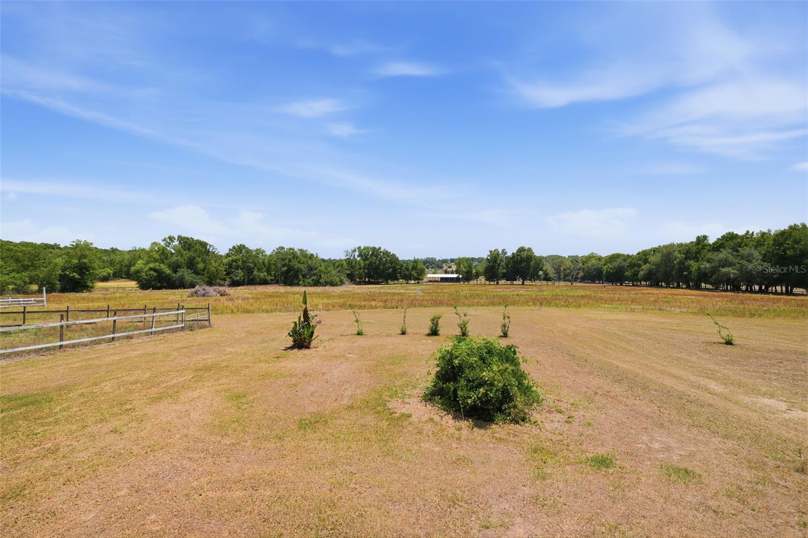 35600 BLANTON RD, DADE CITY, FL, 33523