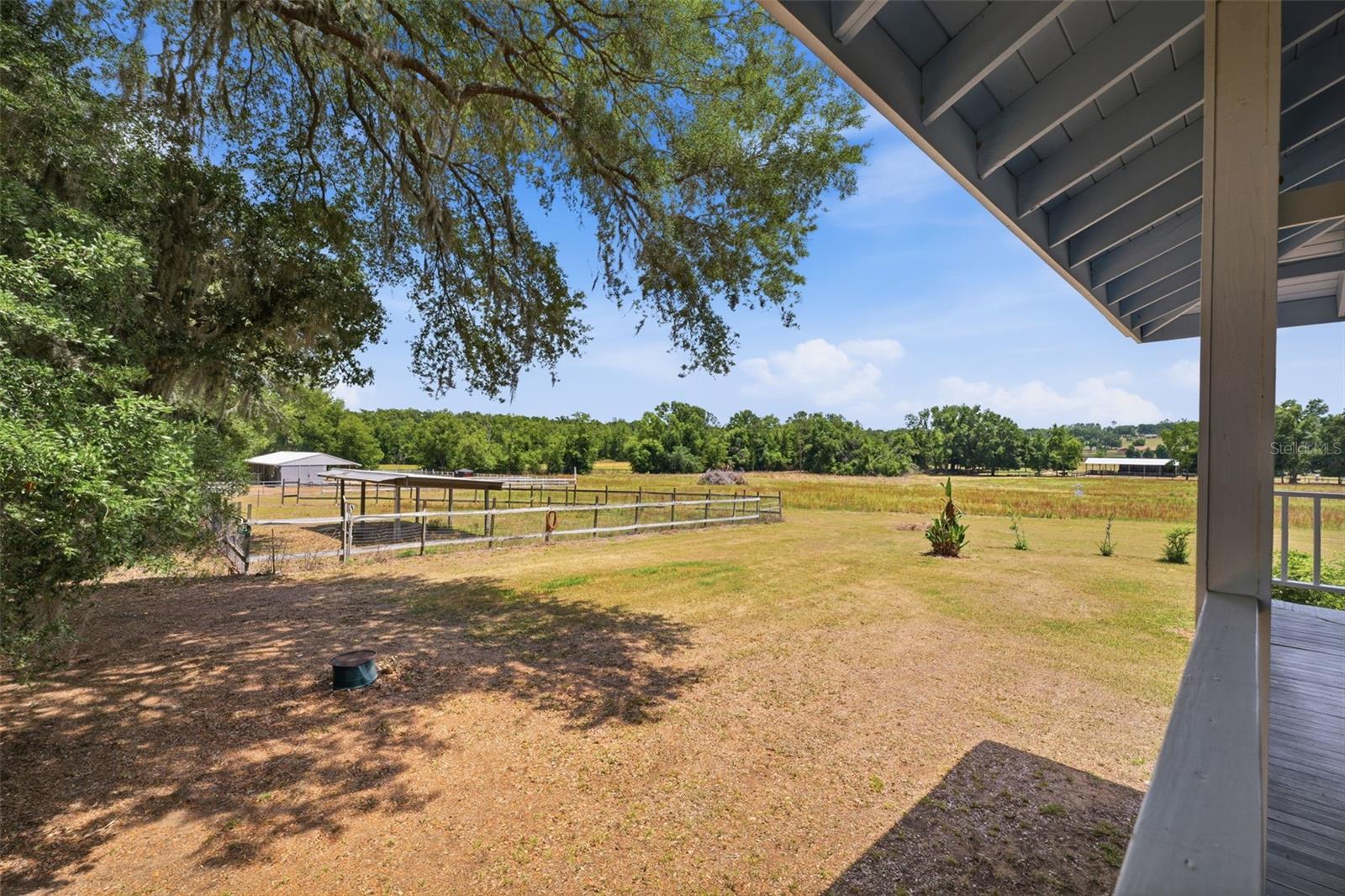 35600 BLANTON RD, DADE CITY, FL, 33523