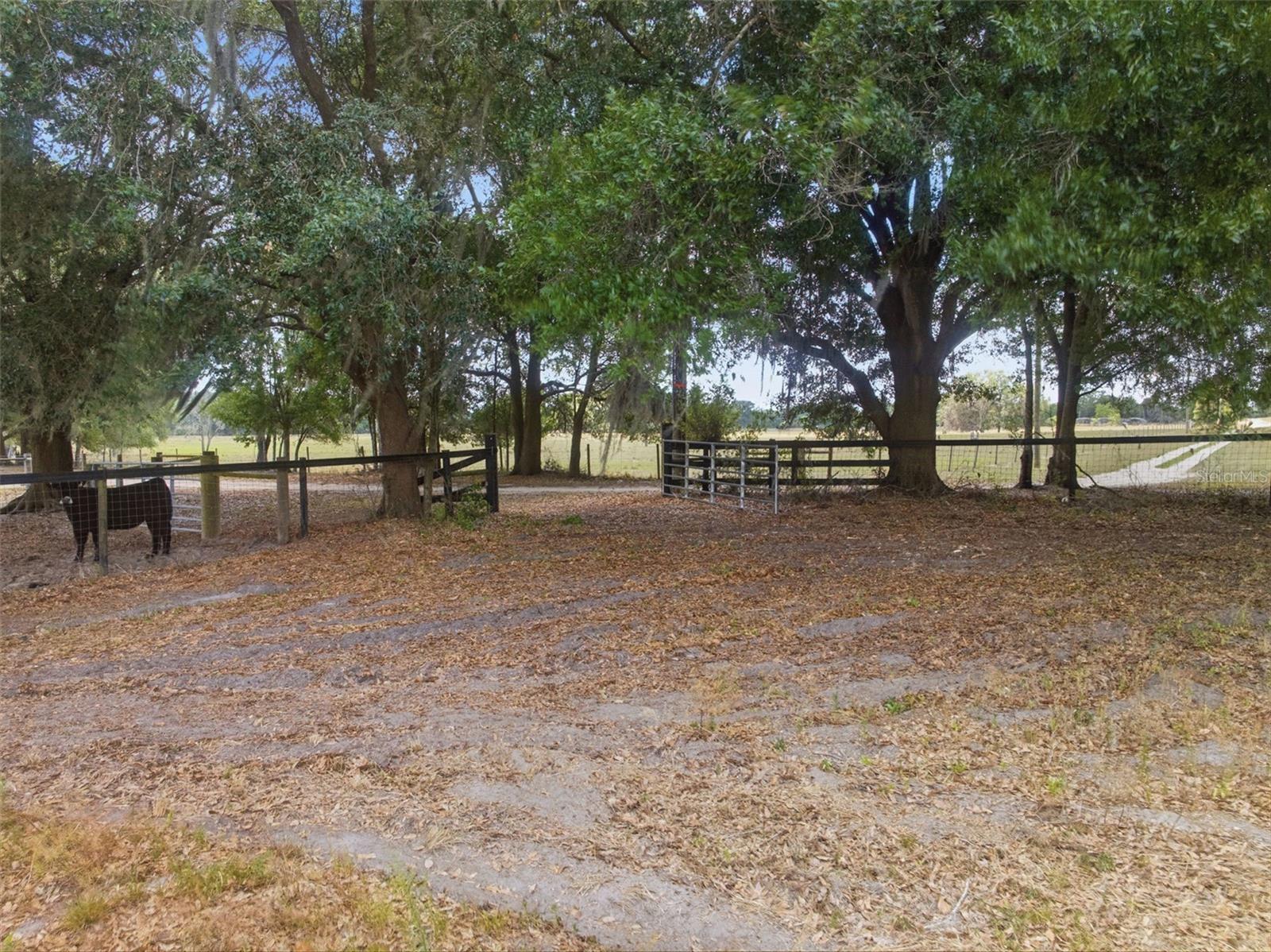35600 BLANTON RD, DADE CITY, FL, 33523