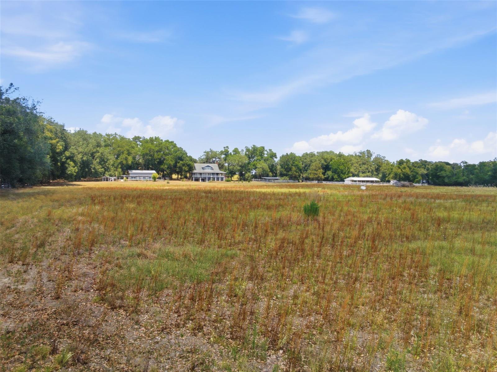 35600 BLANTON RD, DADE CITY, FL, 33523