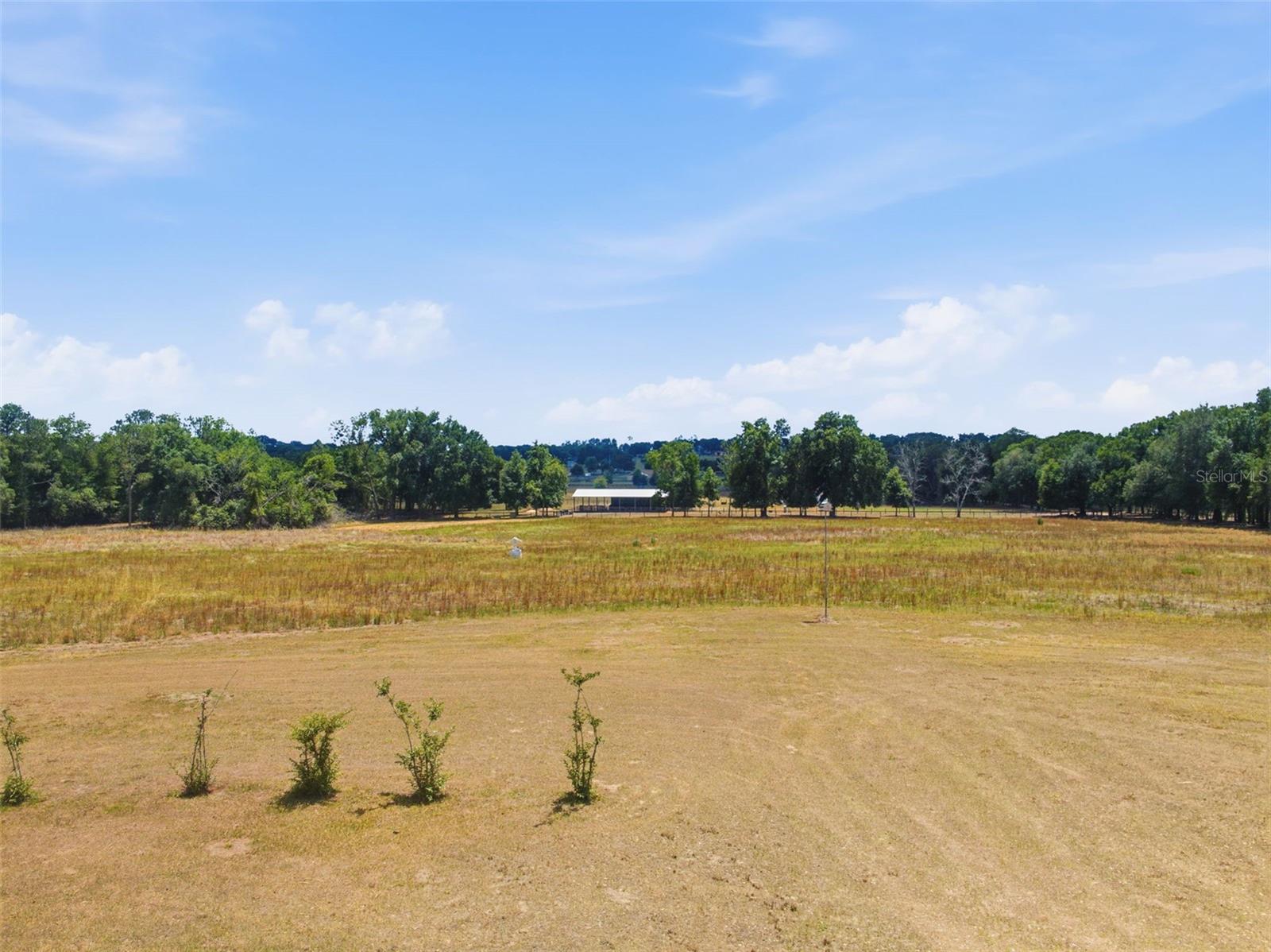 35600 BLANTON RD, DADE CITY, FL, 33523