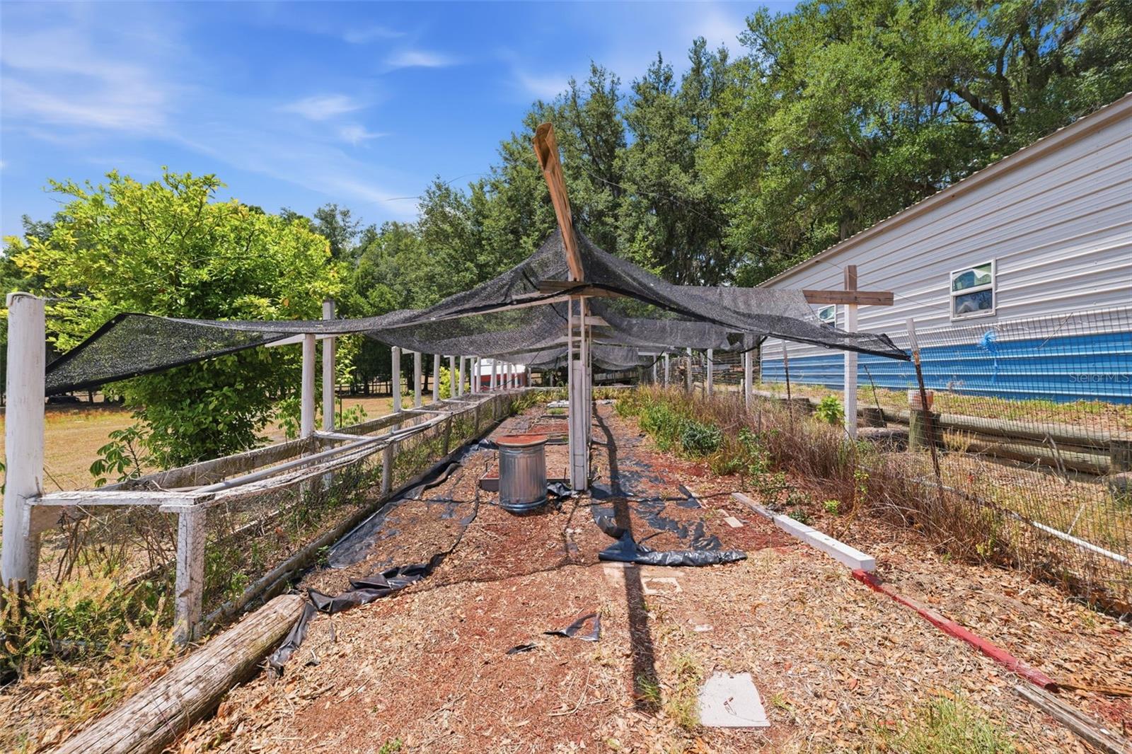 35600 BLANTON RD, DADE CITY, FL, 33523
