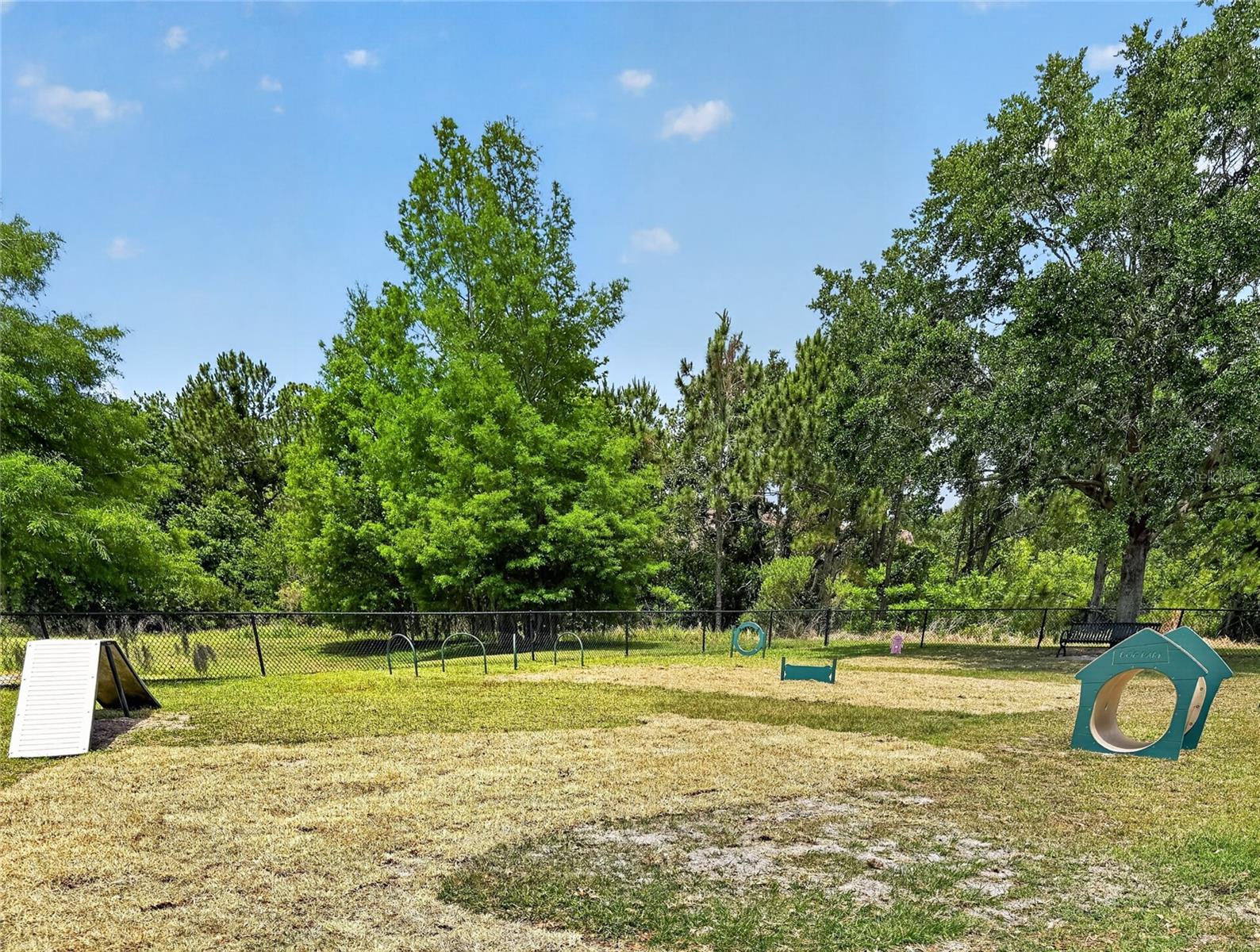 14002 AVENUE OF THE GRVS, WINTER GARDEN, FL, 34787