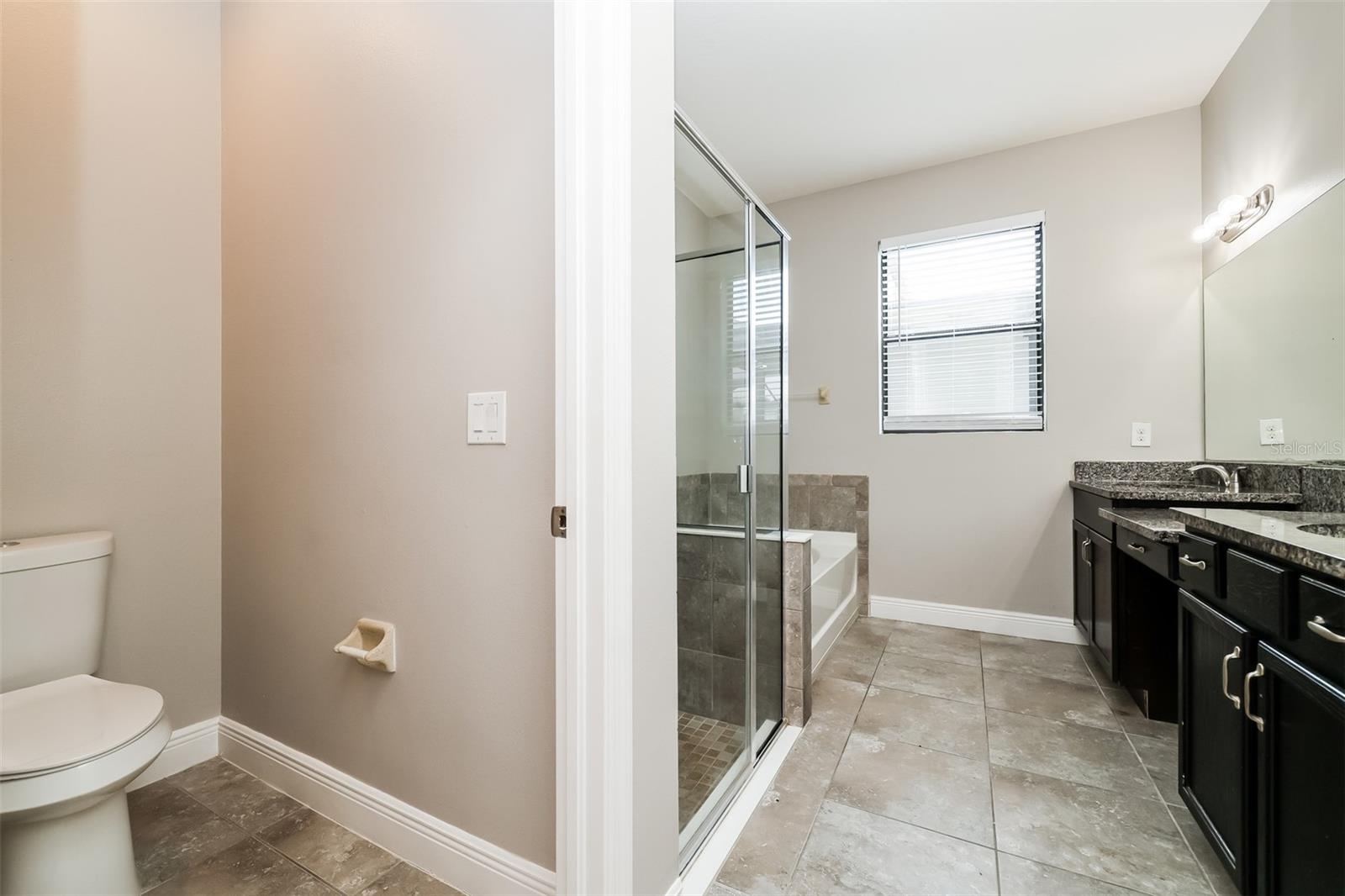 10152 CELTIC ASH DR, RUSKIN, FL, 33573