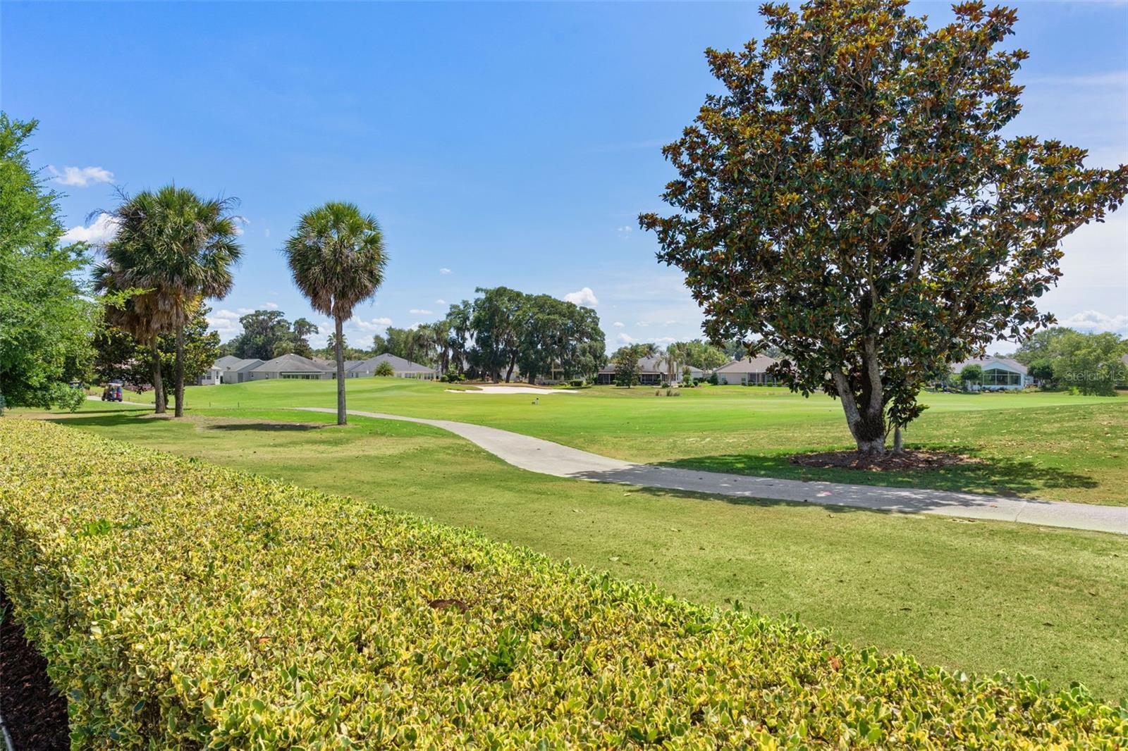 1426 HONEA PATH, THE VILLAGES, FL, 32162