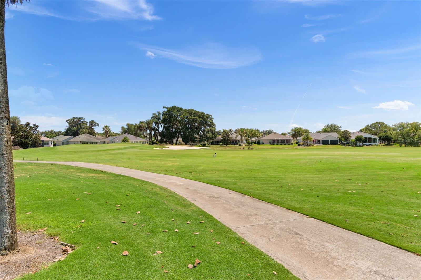 1426 HONEA PATH, THE VILLAGES, FL, 32162
