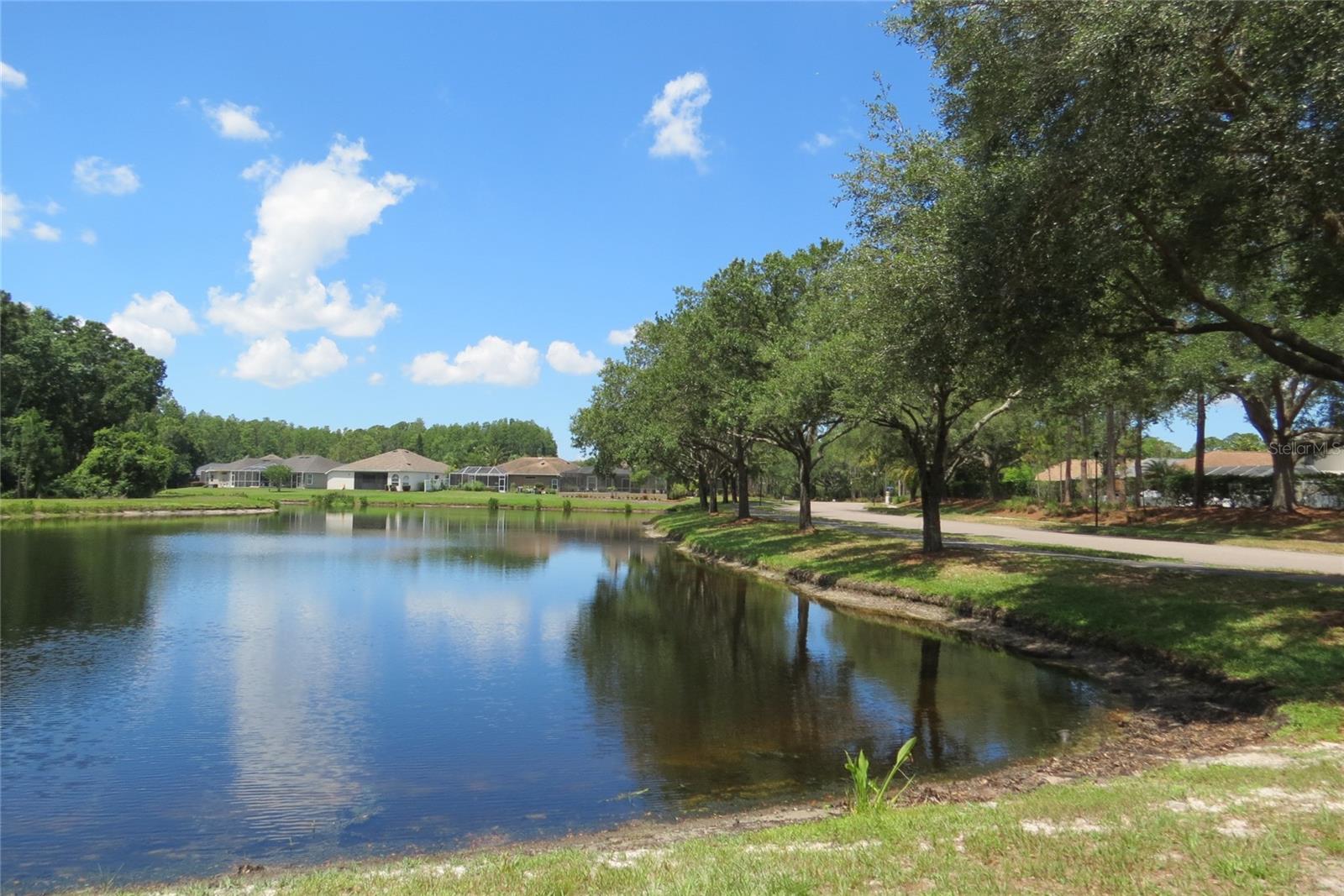 12730 TAR FLOWER DR, TAMPA, FL, 33626