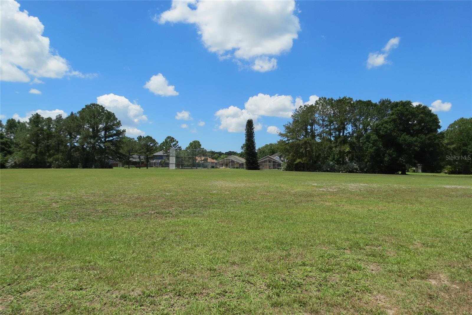 12730 TAR FLOWER DR, TAMPA, FL, 33626