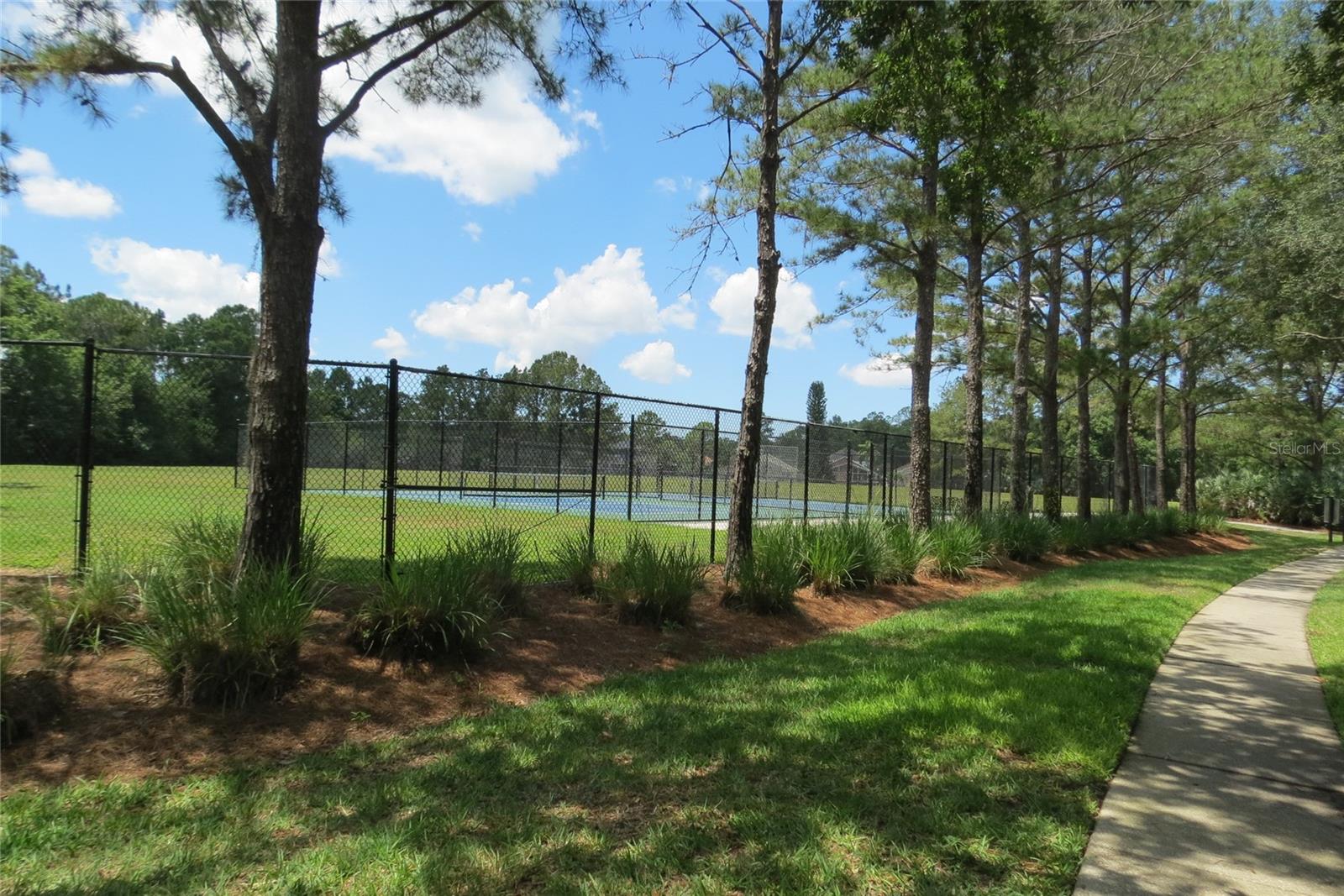 12730 TAR FLOWER DR, TAMPA, FL, 33626