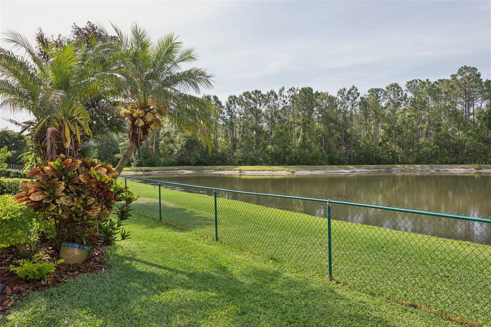 12730 TAR FLOWER DR, TAMPA, FL, 33626