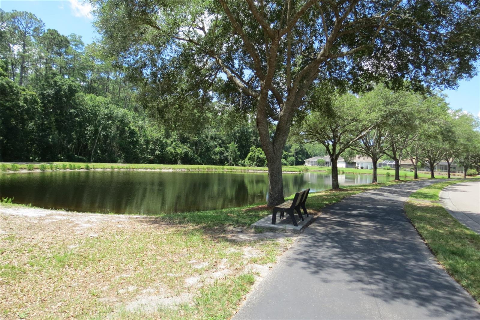 12730 TAR FLOWER DR, TAMPA, FL, 33626