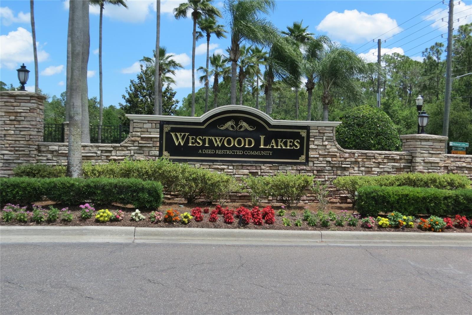 12730 TAR FLOWER DR, TAMPA, FL, 33626