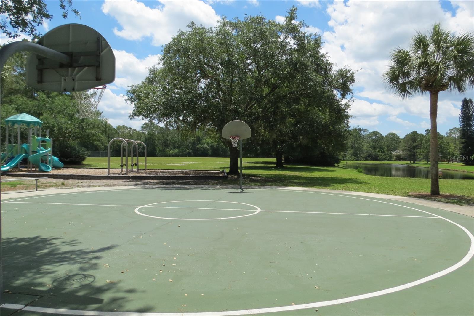 12730 TAR FLOWER DR, TAMPA, FL, 33626