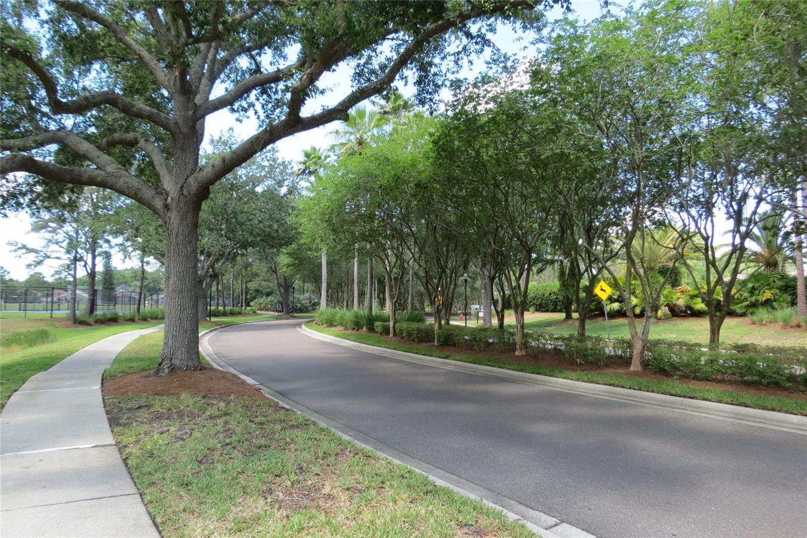 12730 TAR FLOWER DR, TAMPA, FL, 33626