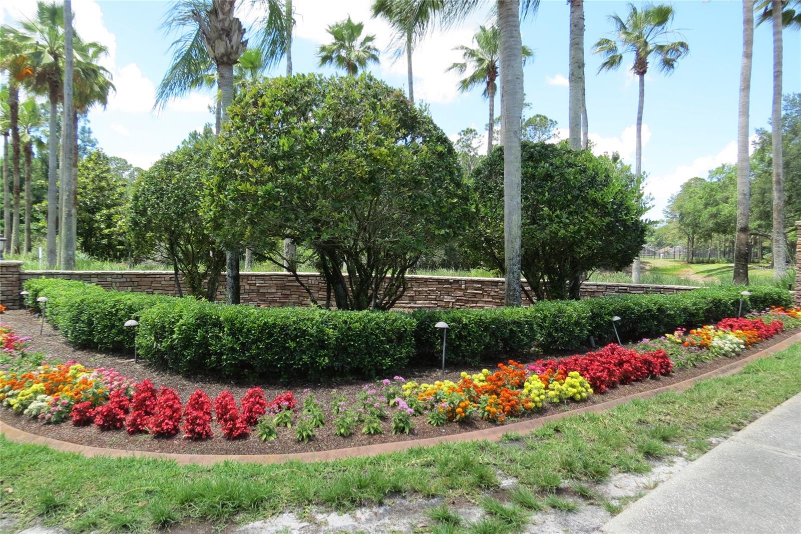 12730 TAR FLOWER DR, TAMPA, FL, 33626