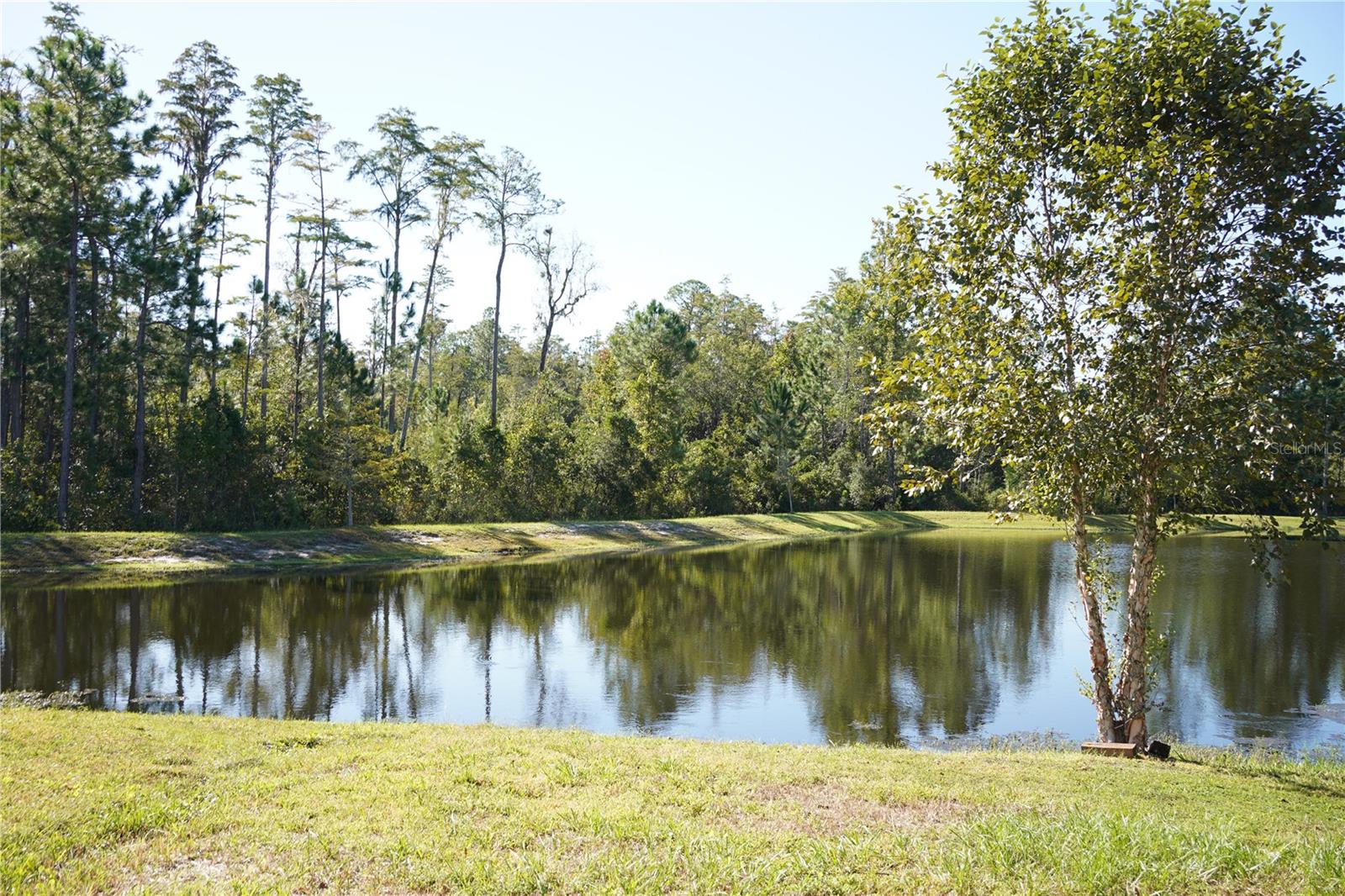 855 SYCAMORE WAY, ORANGE PARK, FL, 32073