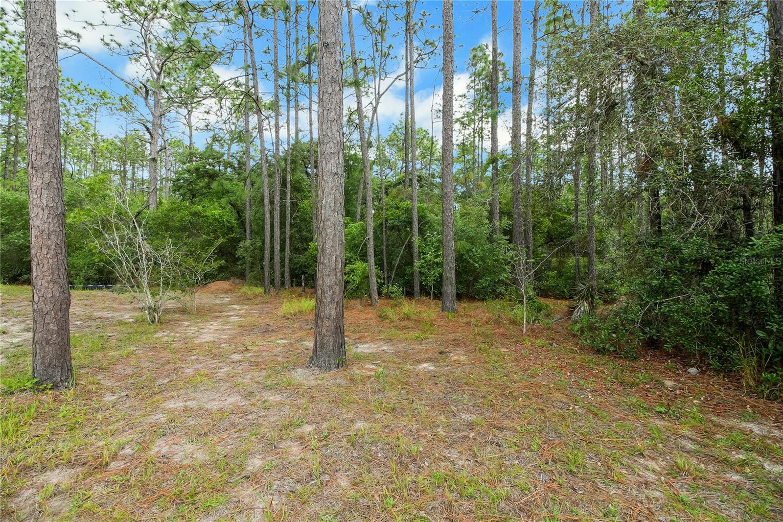 20831 SW 59TH LN, DUNNELLON, FL, 34431