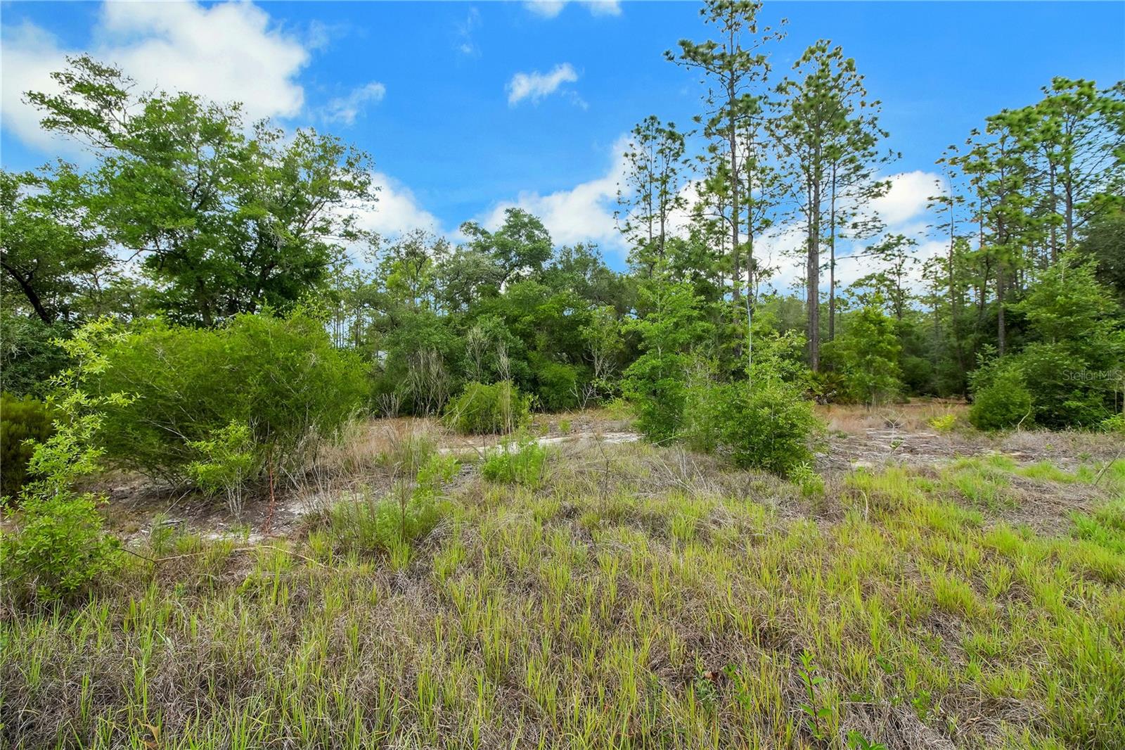 20831 SW 59TH LN, DUNNELLON, FL, 34431