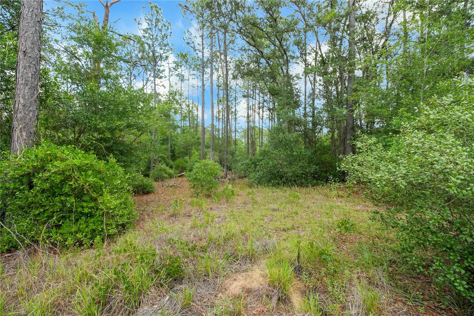 20831 SW 59TH LN, DUNNELLON, FL, 34431
