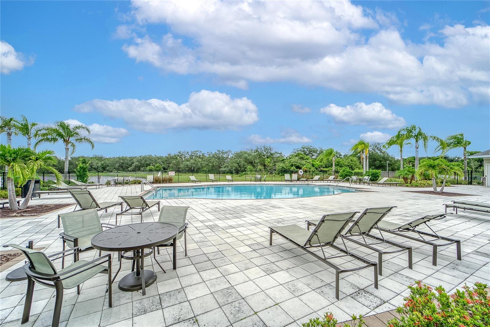 12607 GENEVA GLADE DR, RIVERVIEW, FL, 33578