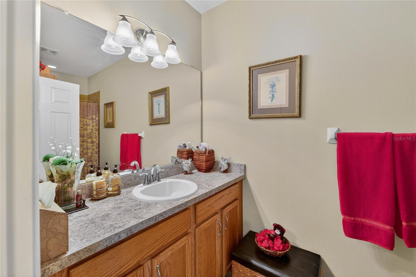 12607 GENEVA GLADE DR, RIVERVIEW, FL, 33578