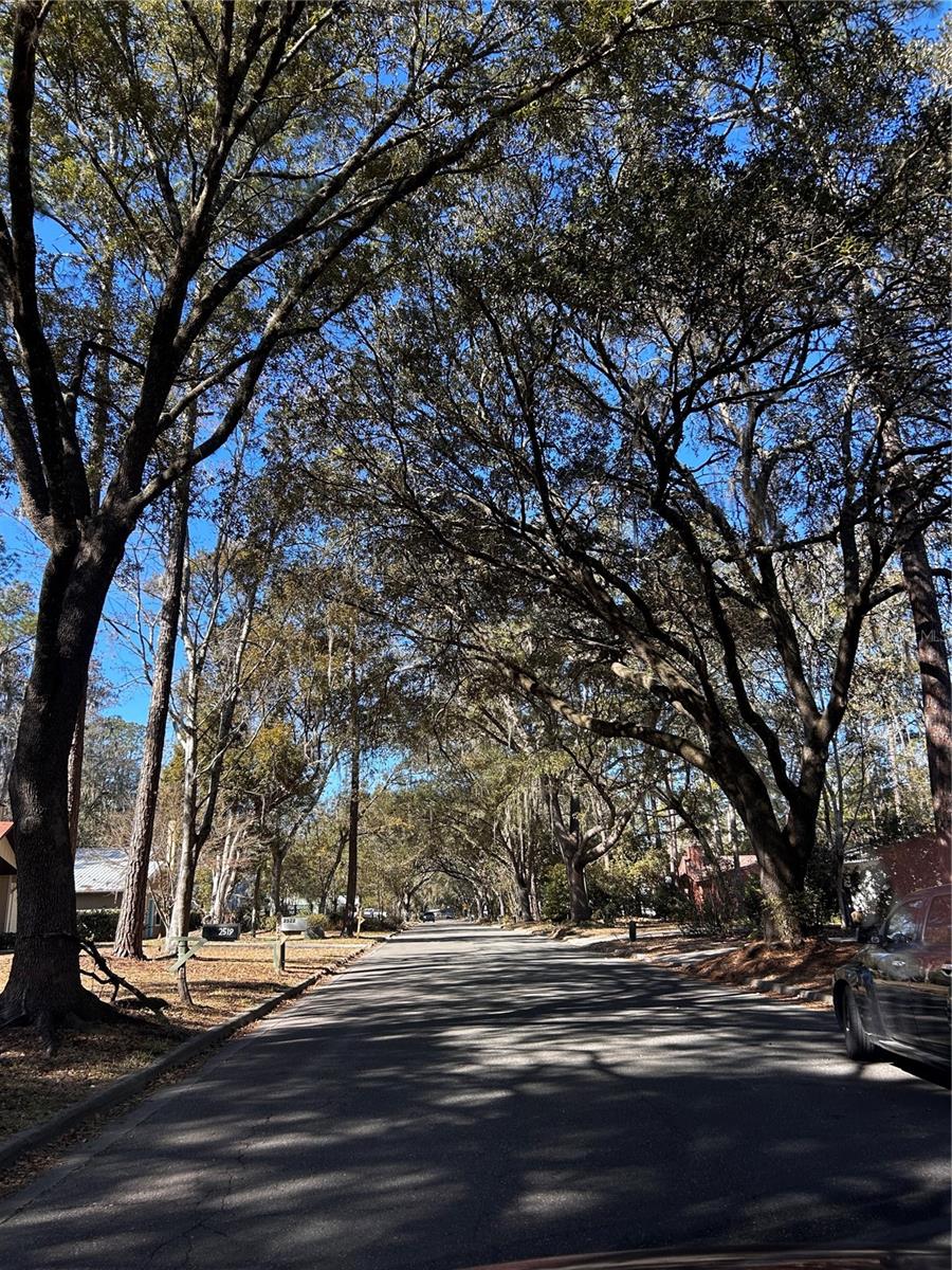 2535 NW 49TH PL, GAINESVILLE, FL, 32605