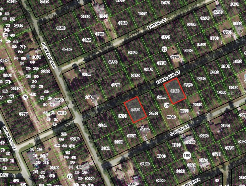 3676 & 3718 E WALKER ST, INVERNESS, FL, 34453