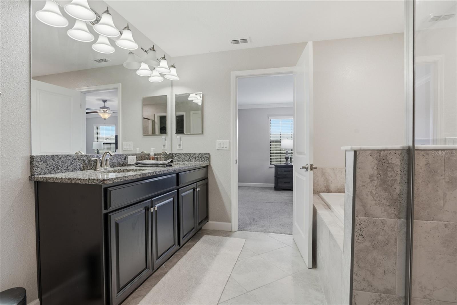 28580 TRANQUIL LAKE CIR, WESLEY CHAPEL, FL, 33543