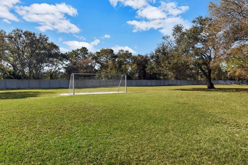 6760 WATERTON DR, RIVERVIEW, FL, 33578