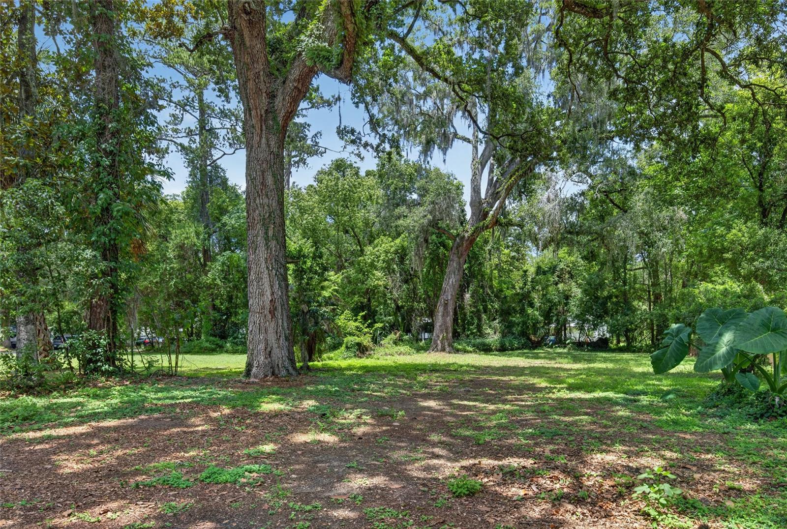 18455 SHADY SIDE DR, BROOKSVILLE, FL, 34601