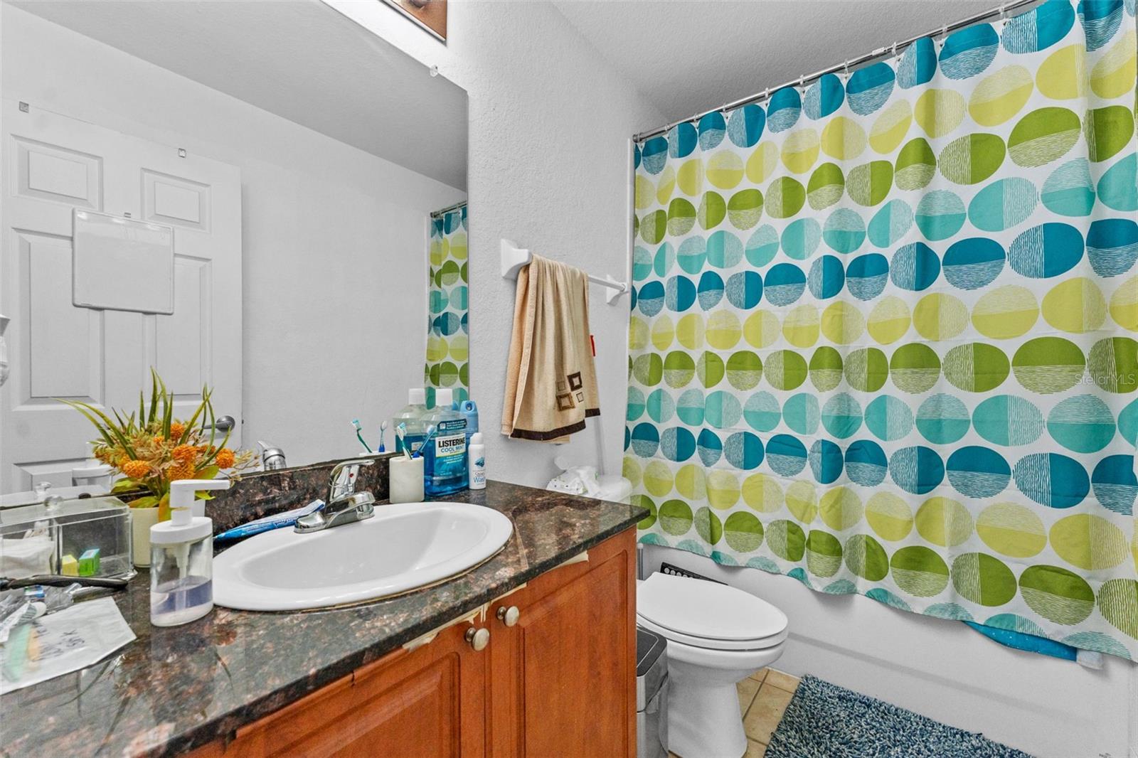 8104 DOWNPATRICK CT, TAMPA, FL, 33610