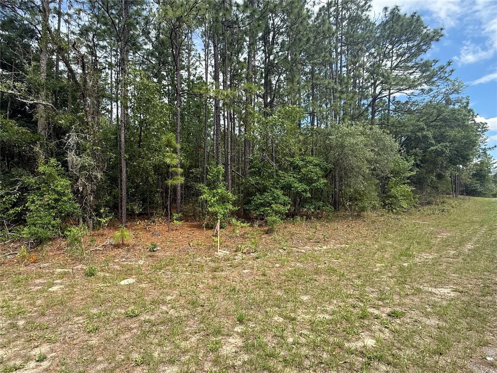 7103 N HEMMINGWAY DR, DUNNELLON, FL, 34434
