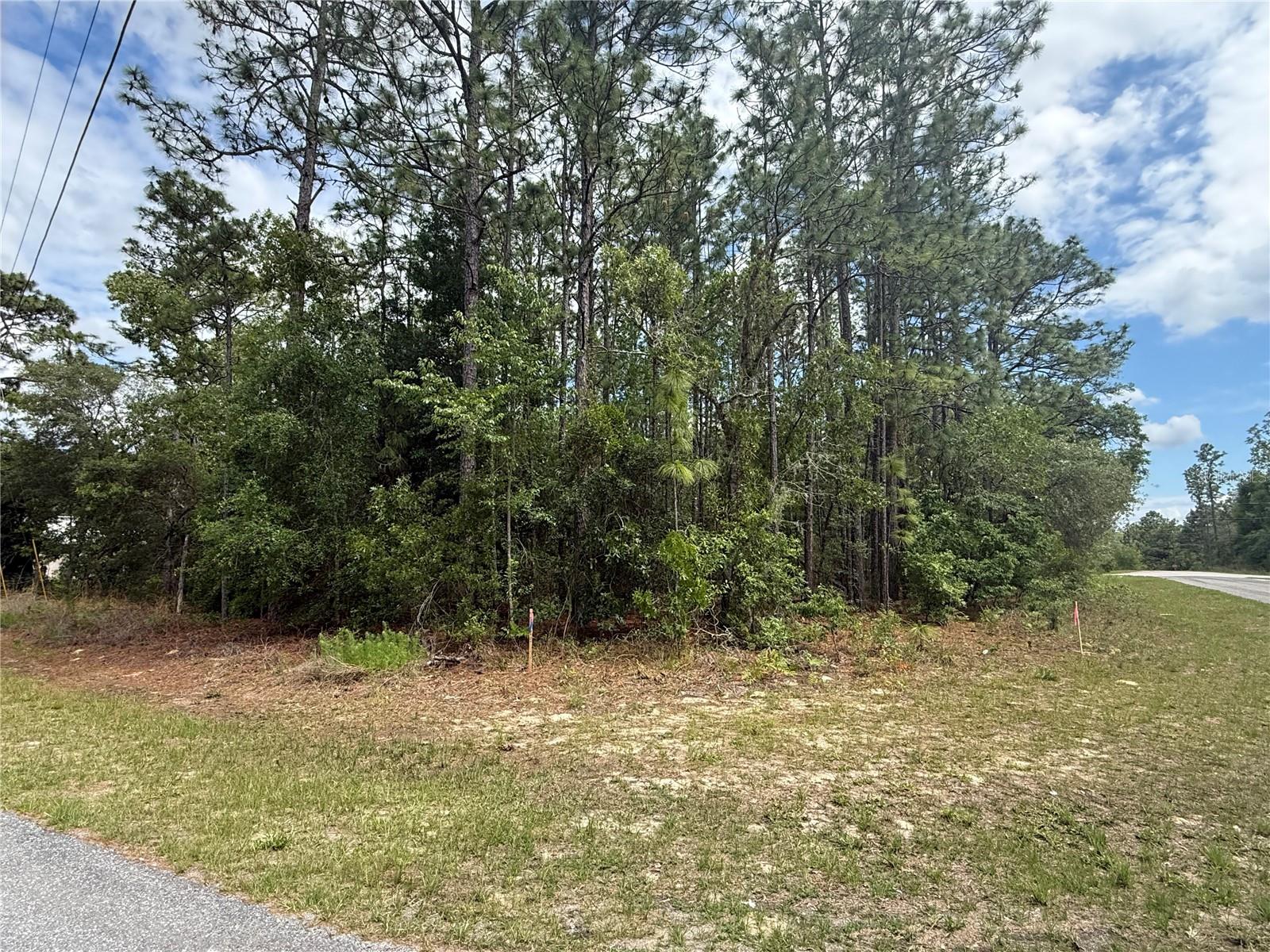 7103 N HEMMINGWAY DR, DUNNELLON, FL, 34434