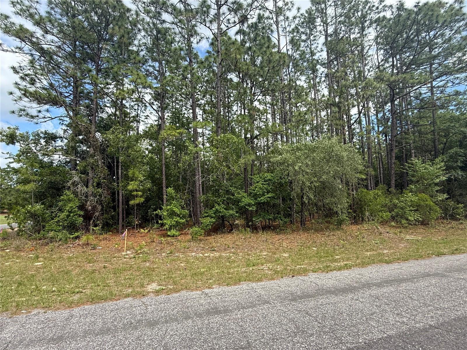 7103 N HEMMINGWAY DR, DUNNELLON, FL, 34434