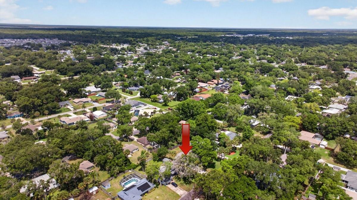 2012 MANGO TREE DR, EDGEWATER, FL, 32141