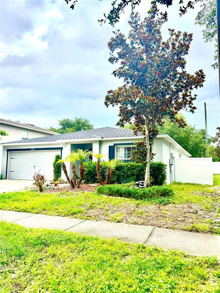 30855 TEMPLE STAND AVE, WESLEY CHAPEL, FL, 33543
