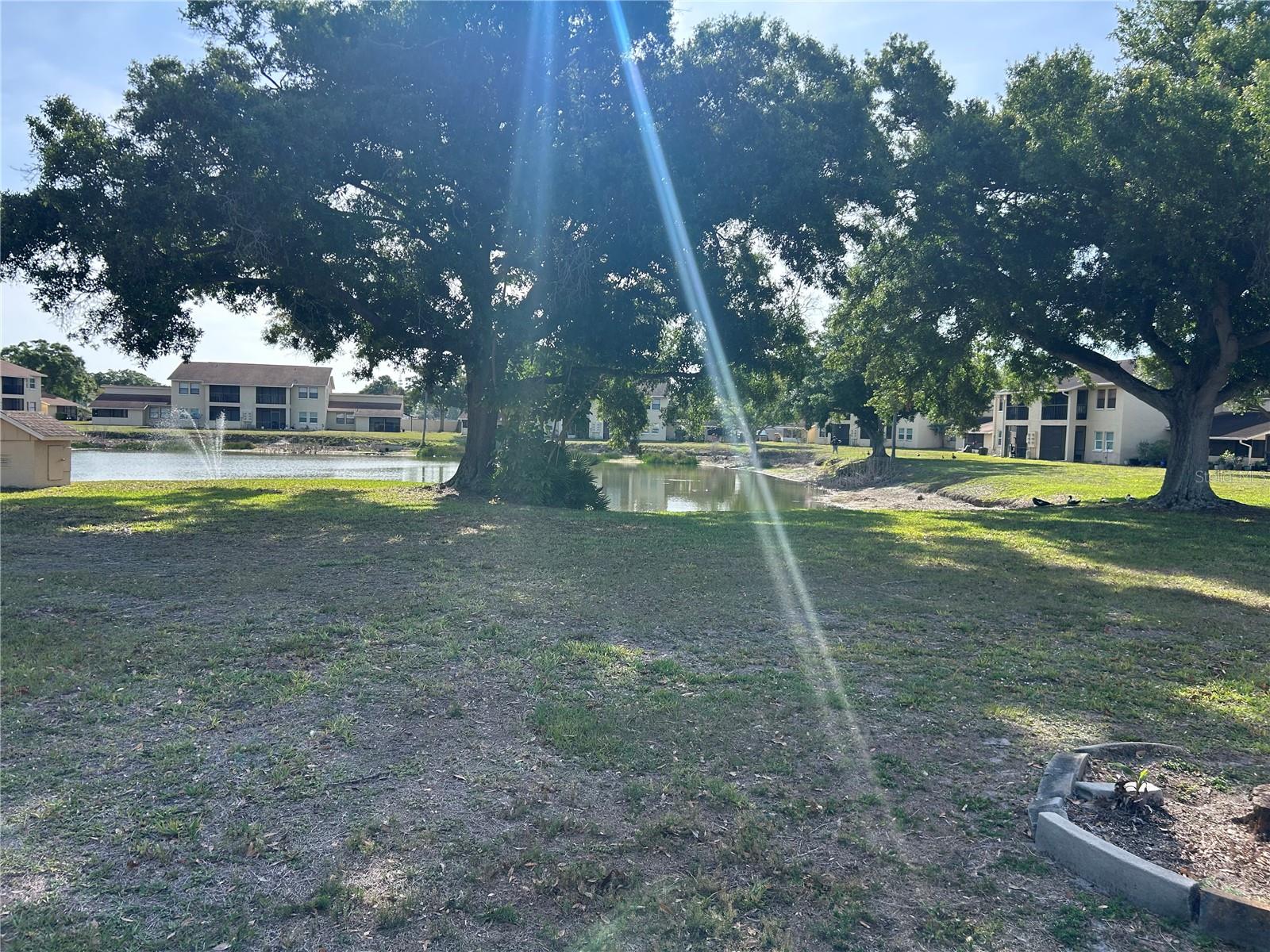 6301 58TH ST N #1001, PINELLAS PARK, FL, 33781