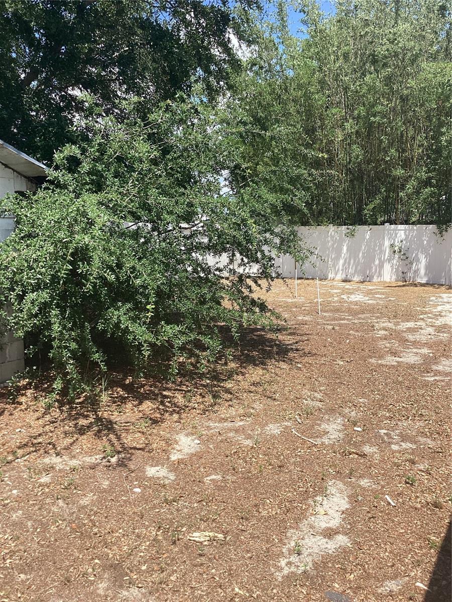 3909 W PALMETTO ST, TAMPA, FL, 33607