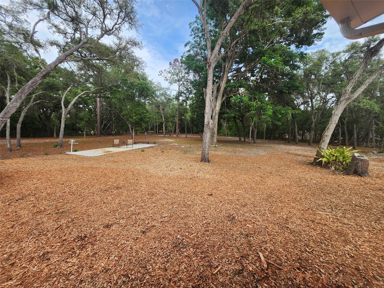 15614 RENEE LN, HUDSON, FL, 34669